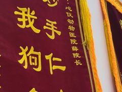 -心仪动物医院·牙专科·肿瘤·心脏科(西客站院)