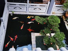 -孔雀湖生态旅游区