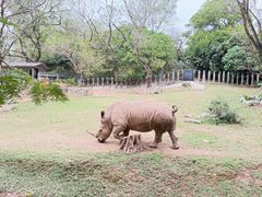 -深圳野生动物园