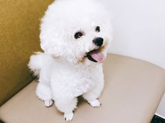 -美联众合动物医院·24h转诊中心
