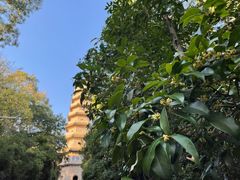 -灵谷景区