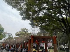 -双拥公园