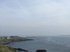 -涉地可支