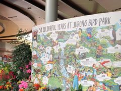 -新加坡飞禽公园