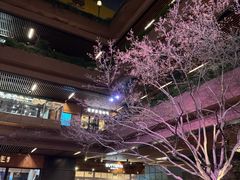 -瑞虹新天地月亮湾