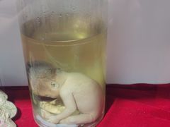 -武汉达临性学生命文化博物馆