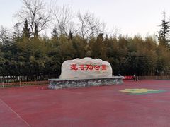 -莲花池公园