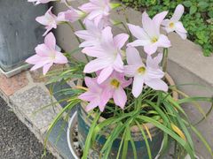 -锦江之星(南京新街口店)