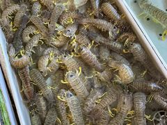 -南沙十九涌渔人码头-南门