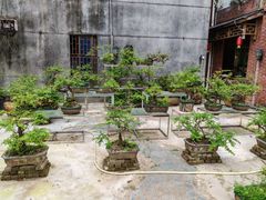 -贞楼食莊