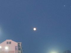 -安徽饭店·白鹭阁自助餐厅(梅山路店)