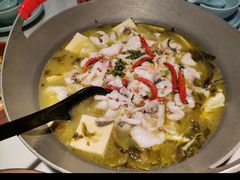 -腾龙阁|经典川菜(SM城市广场店)