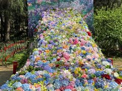 -上海共青森林公园