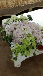 -UP&UP·半永久眉毛眼线机器野生眉