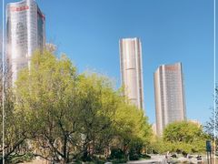 -大望京公园