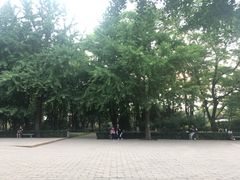 -玲珑塔公园