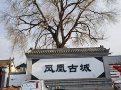 -柳沟豆腐宴69号福豆堂