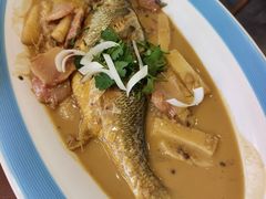 黄鱼烧年糕-天天鱼港·海鲜·鲅鱼水饺·招牌烤鸭(黄骅店)