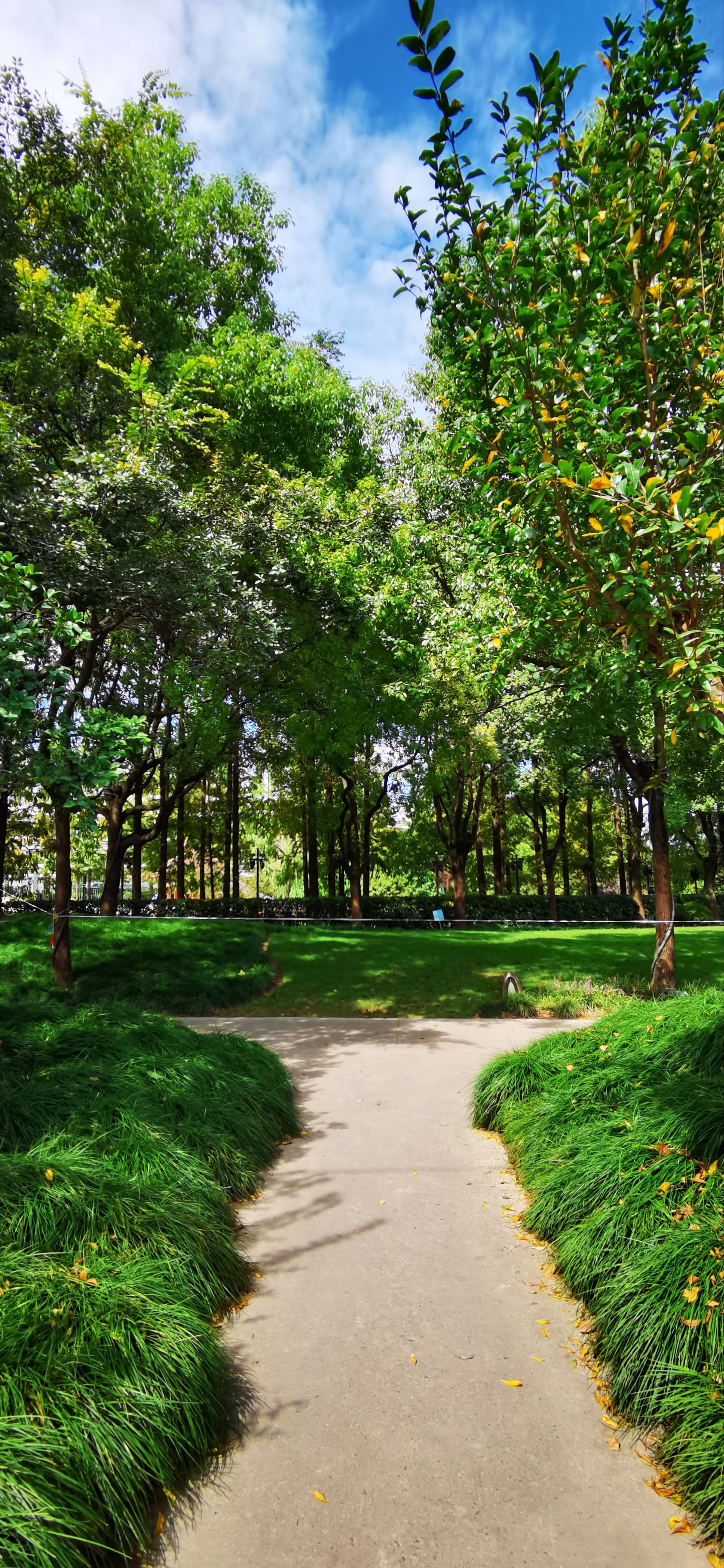 华泾公园:华泾镇最大的城市绿地