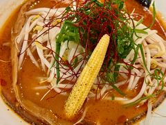 -真打拉面·日式拉面新流派(体育西横街店)
