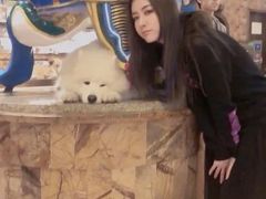 -more than meow吴止猫主题餐厅(承德 中船汇店)