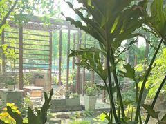 -谷咖啡·鲜花绿植花园餐厅