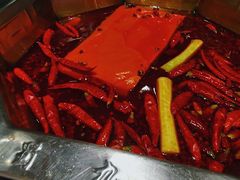 -蜀九香火锅(九眼桥店)