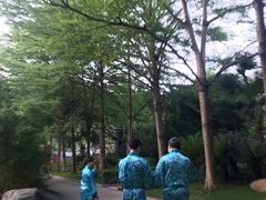 -碧水湾温泉