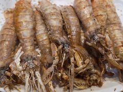 -北海港酒楼 海鲜代加工 粤菜(淡村商贸城店)