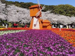 -苏州上方山国家森林公园