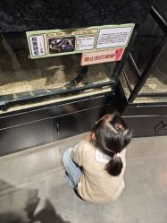 -Zoolung Zoolung动物主题公园(海信广场店)