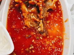 松鼠桂鱼-大鸭梨烤鸭(石佛营店)