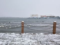-烟墩角天鹅湖