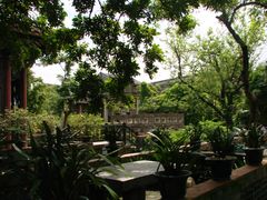 绿树林荫-东莞市可园博物馆