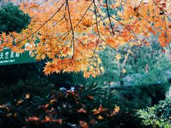 -杭州上天竺法喜讲寺
