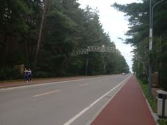 -金水鹤温泉国际酒店