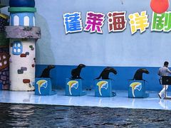 -蓬莱欧乐堡海洋极地世界