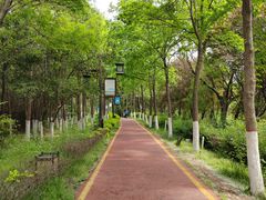 -西安汉城湖景区