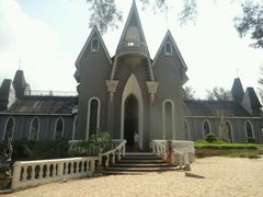 android_upload_pic-玫瑰海岸文化旅游度假区
