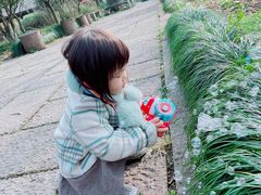 -长兴太湖图影湿地文化园