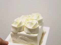 -BLACKSWAN黑天鹅(环球店)