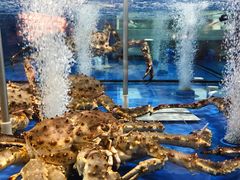 -七鲜超市(万向城店)