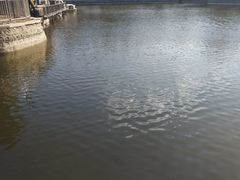 -黄村公园