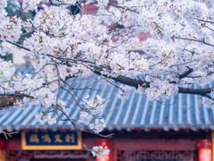 -鸡鸣寺