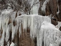 -鲁山国家森林公园