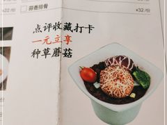 -猪无忌·专做猪肚包鸡20年(乐峰广场店)