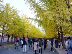-辽宁大学(崇山校区)