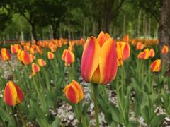 -长春公园(普阳街道)