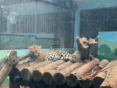 -昆明动物园