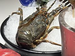 -海月轩海鲜豆捞(紫金塔店)